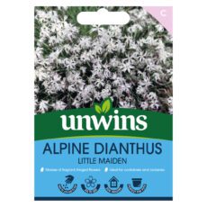 5051618035040 1 Alpine Dianthus Little Maiden Seeds.jpg